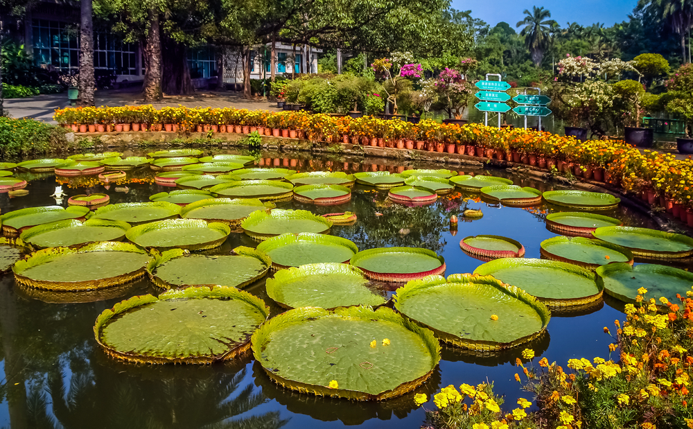 Chinese Gardens | Chinese Landscape Architecture