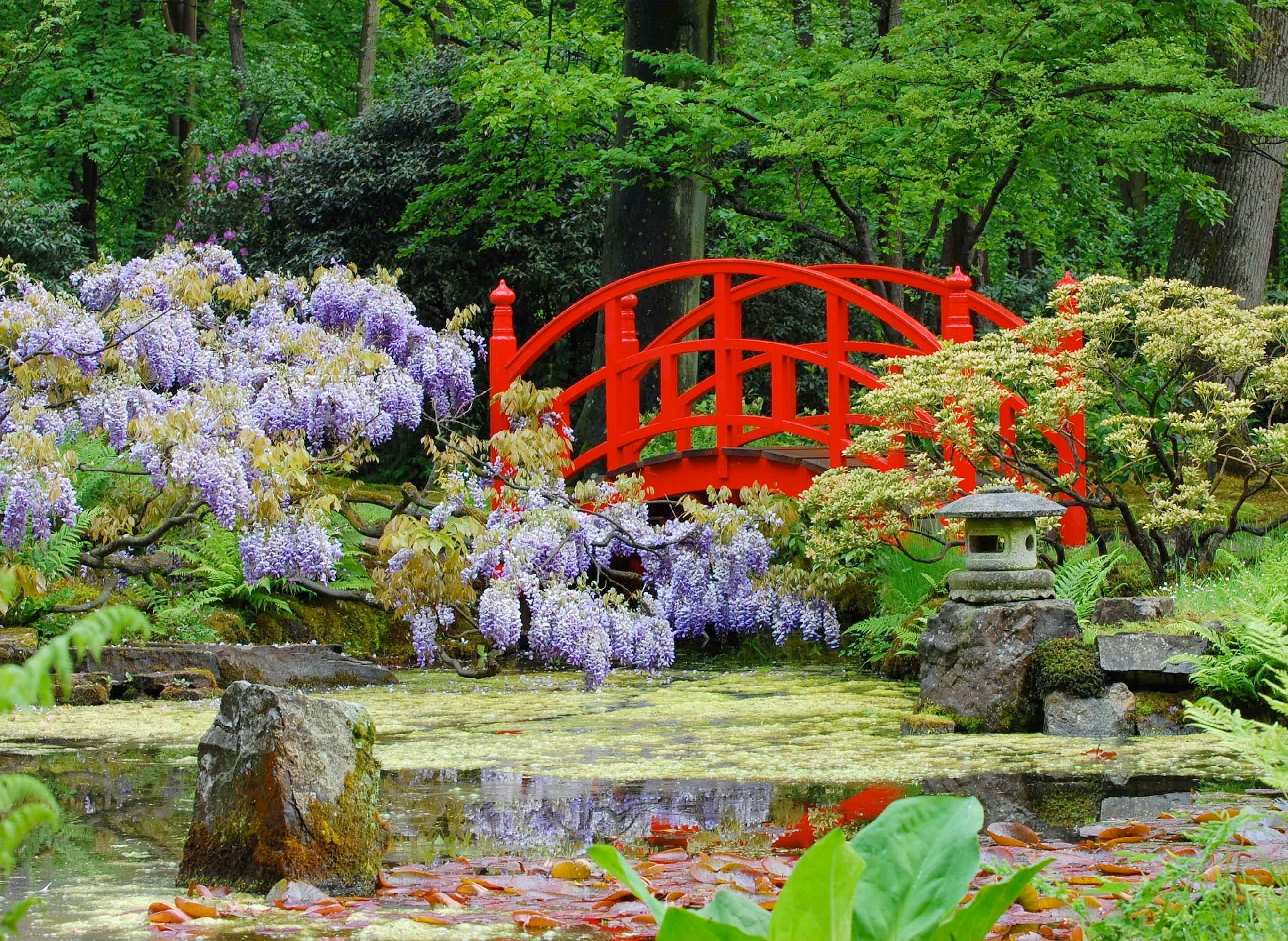 Japanese Gardens | Japanese Landscape